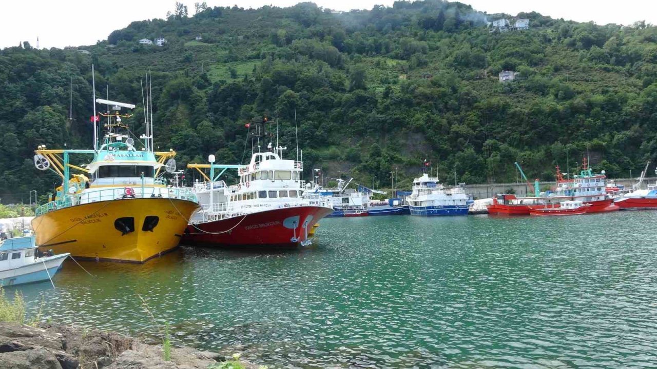 Denizlerde balık avı yasağı 1 ay sonra bitiyor