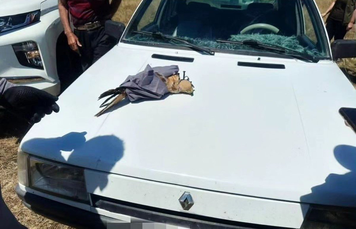 Kars’ta kaçak avcılara ceza yağdı