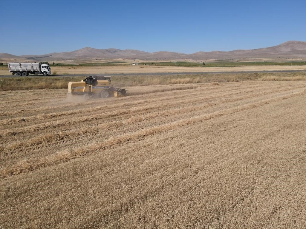 Tomarza’da hububat hasat zamanı başladı