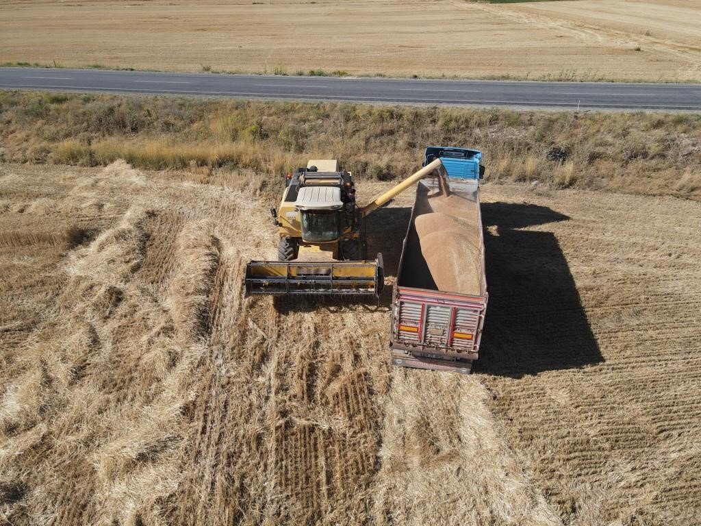 Tomarza’da hububat hasat zamanı başladı