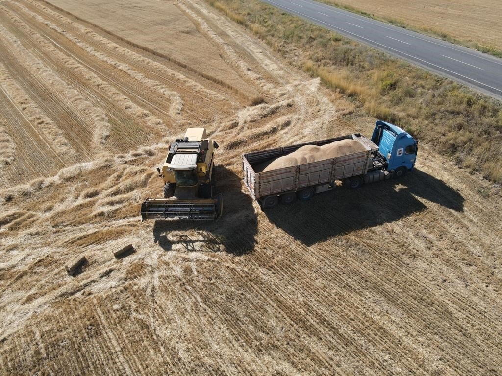 Tomarza’da hububat hasat zamanı başladı