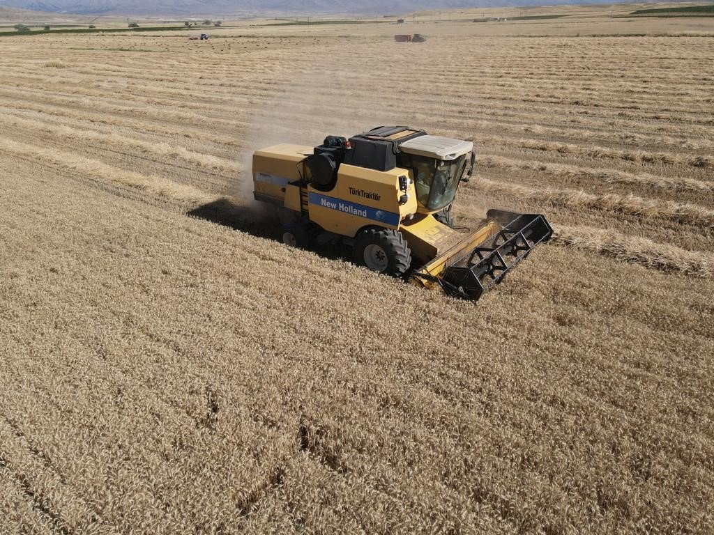 Tomarza’da hububat hasat zamanı başladı