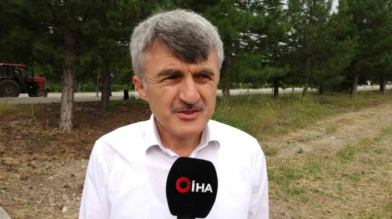 Lavanta bahçesinin bakımını gönüllü öğretim görevlileri yapıyor