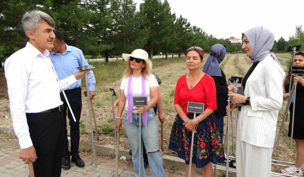 Lavanta bahçesinin bakımını gönüllü öğretim görevlileri yapıyor