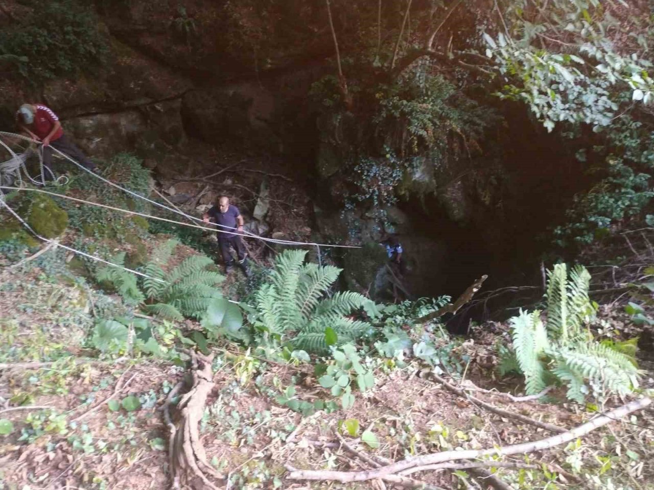 Mağaraya düşen danayı itfaiye kurtardı