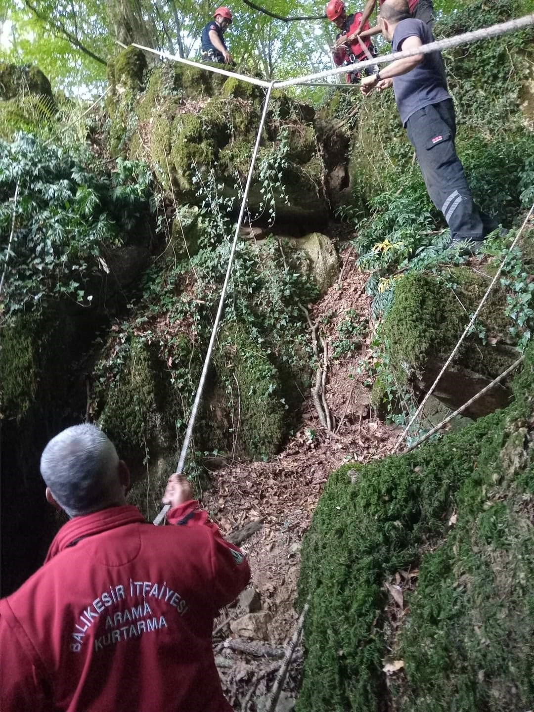 Mağaraya düşen danayı itfaiye kurtardı