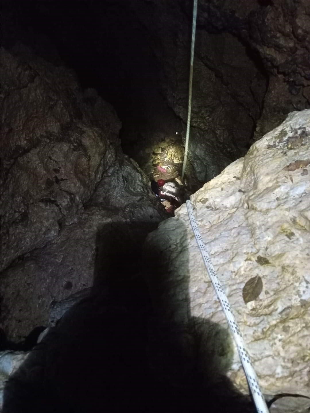 Mağaraya düşen danayı itfaiye kurtardı