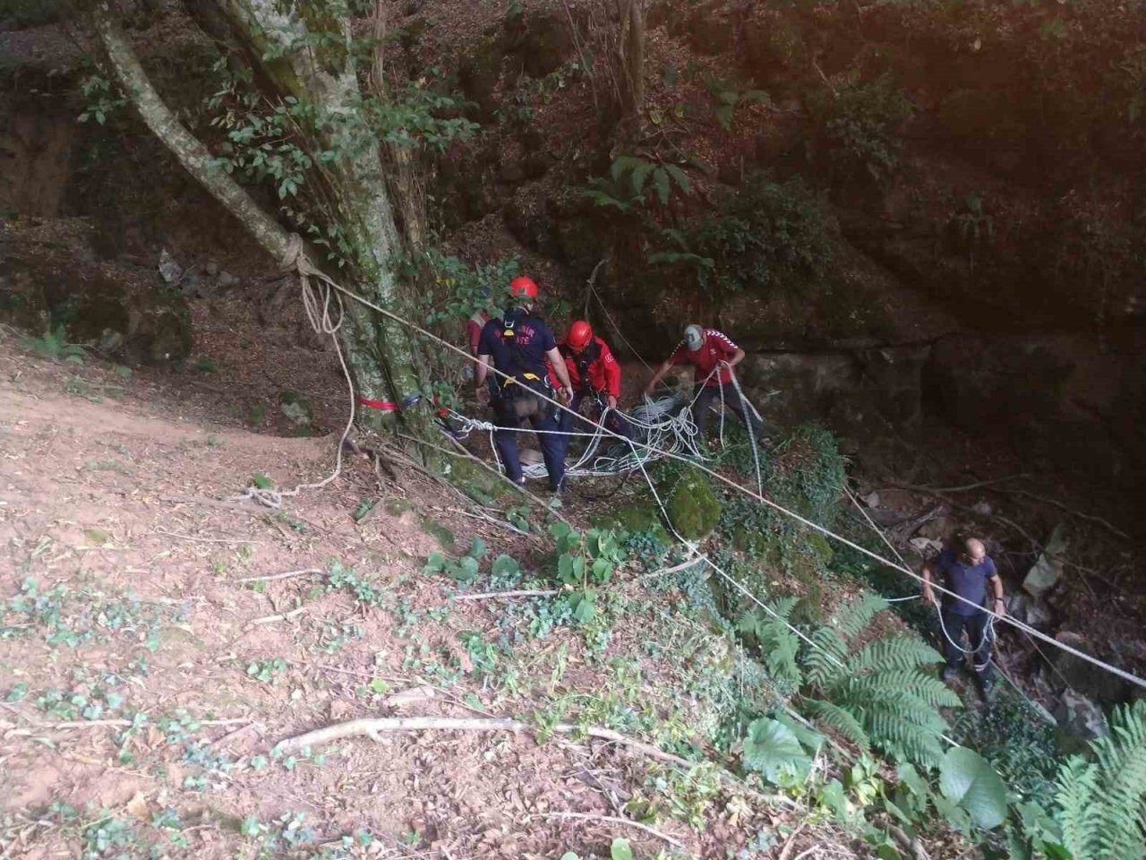 Mağaraya düşen danayı itfaiye kurtardı
