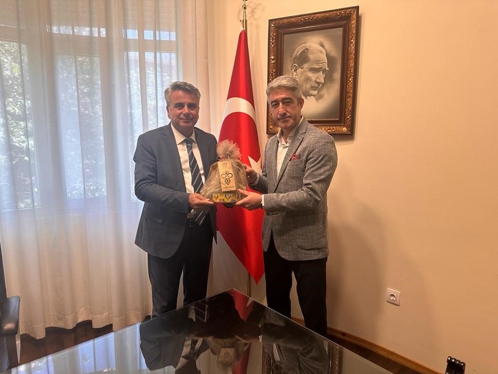 Başkan Oktay: "Acınızı paylaşıyoruz"