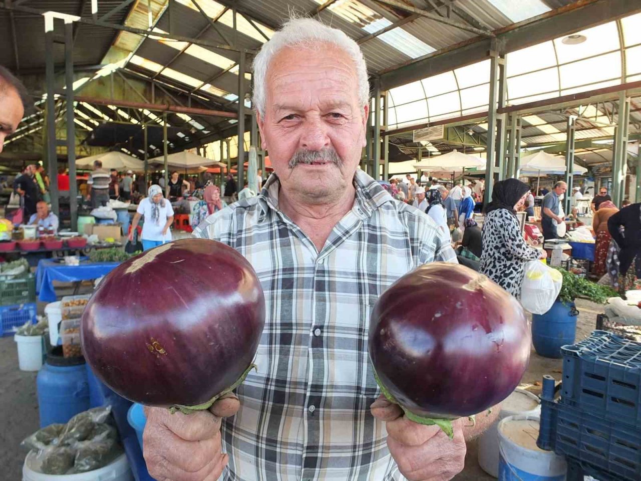 Karpuz büyüklüğündeki kiloluk patlıcanlar ilgi görüyor