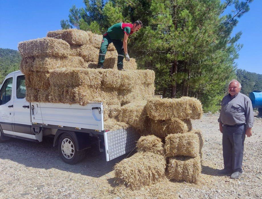Menteşe Belediyesi’nden üreticilere saman balyası desteği