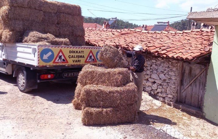 Menteşe Belediyesi’nden üreticilere saman balyası desteği