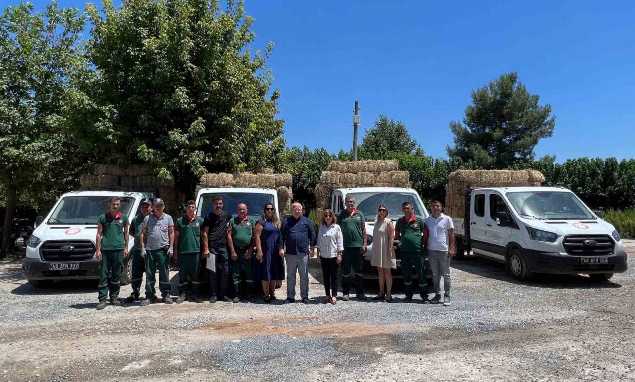 Menteşe Belediyesi’nden üreticilere saman balyası desteği