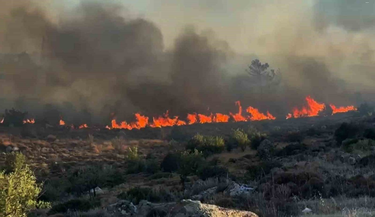 Bodrum’da Türkbükü yangını geniş alana yayıldı
