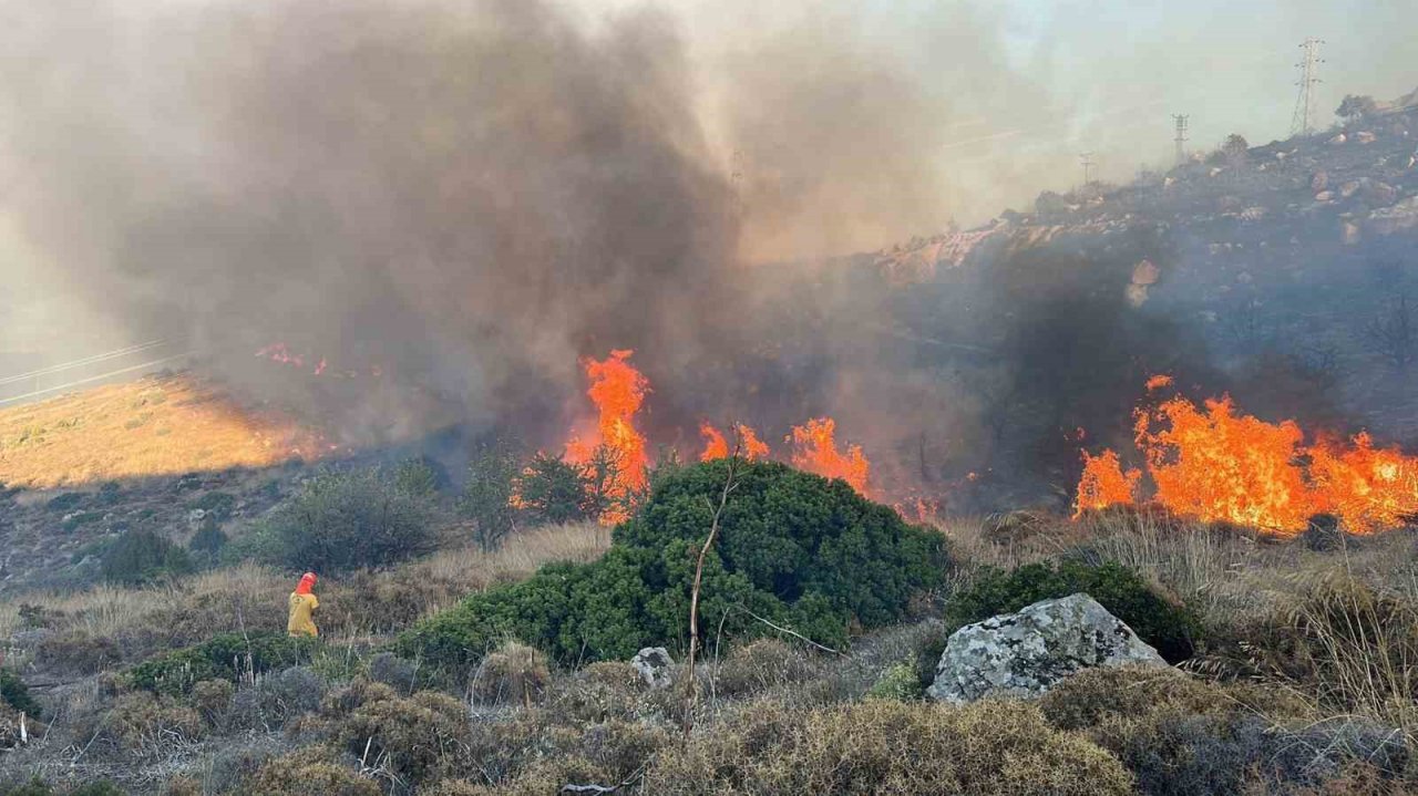 Bodrum’da Türkbükü yangını geniş alana yayıldı