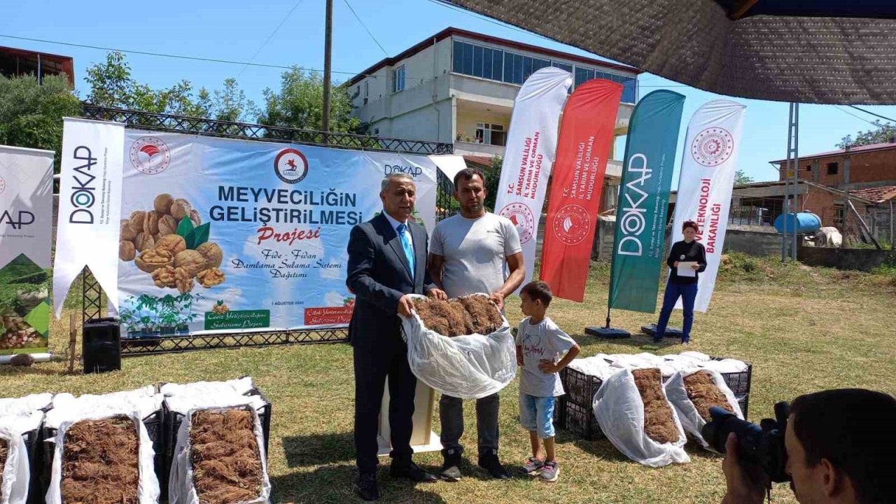 Samsun’da çilek üreticisine 750 bin fide desteği