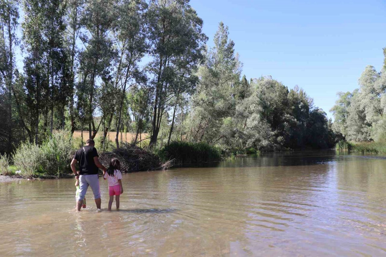 Tatile gidemeyenler akın ediyorlar, eşsiz doğası ve serin suyuyla ferahlıyorlar