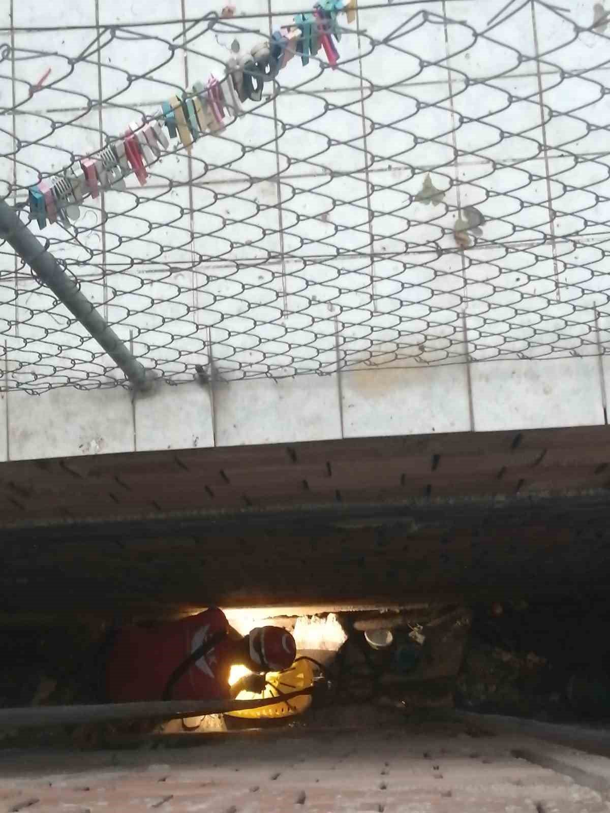 İki bina arasındaki 8 metre derinliğe düşen kedi ekiplerce kurtarıldı