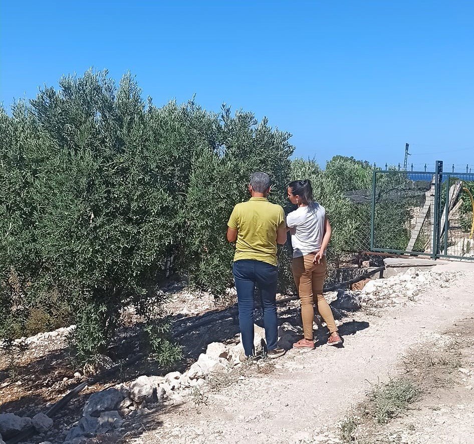 Zeytincilere “ilaçlama” çağrısı