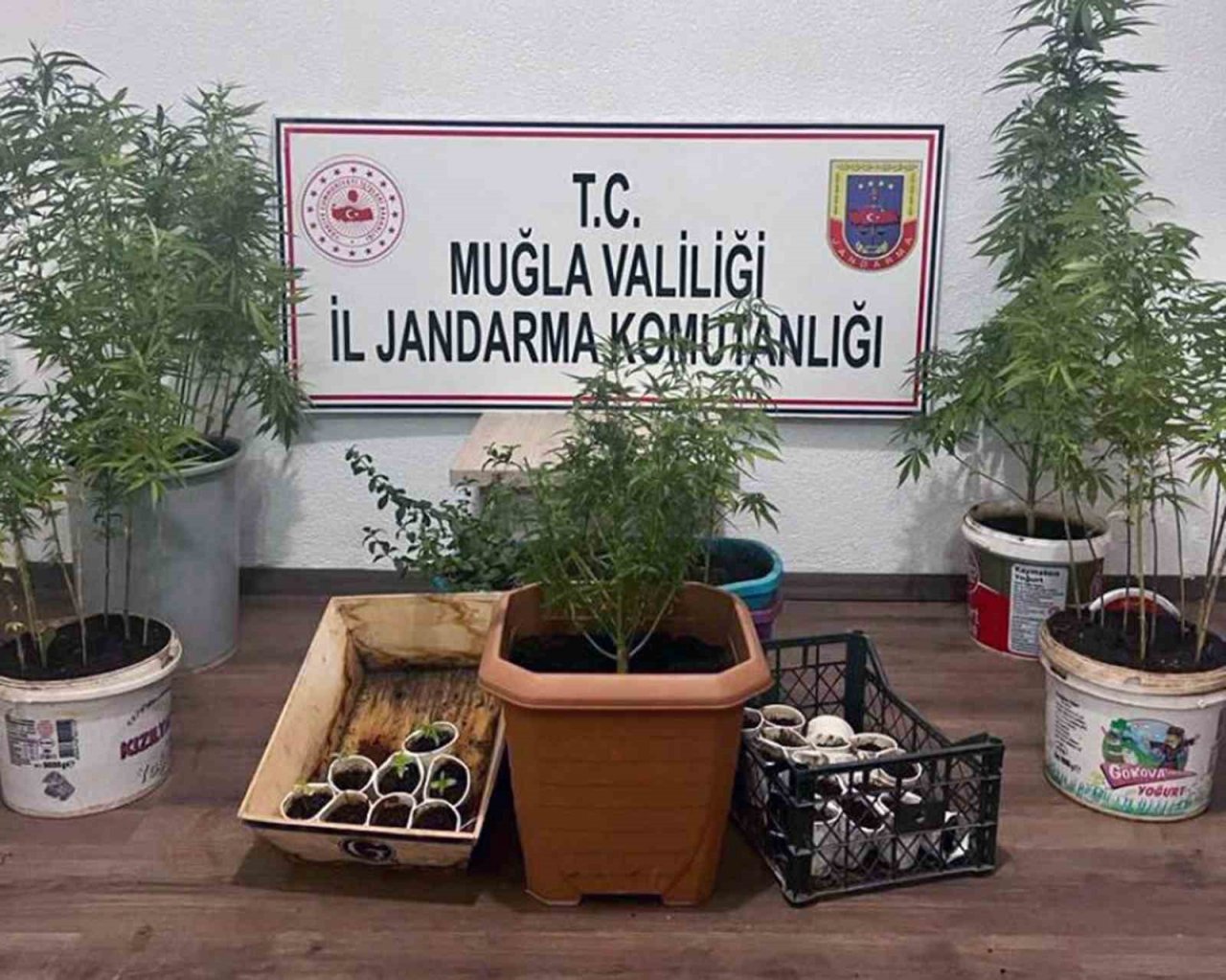 15 yıl hapis kararı bulunan şüpheli ormanlık alanda yakalandı