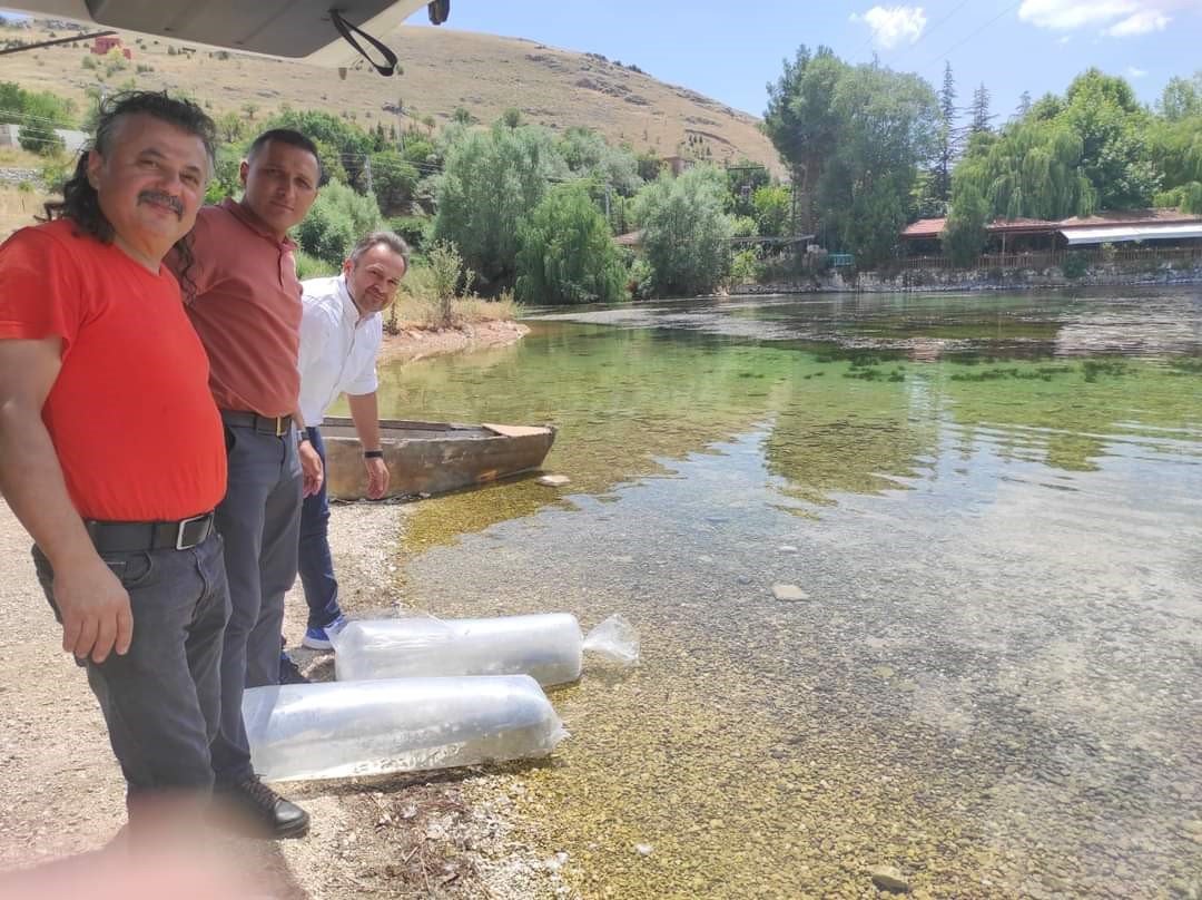 Dinar’da 100 bin balık göletlere bırakıldı
