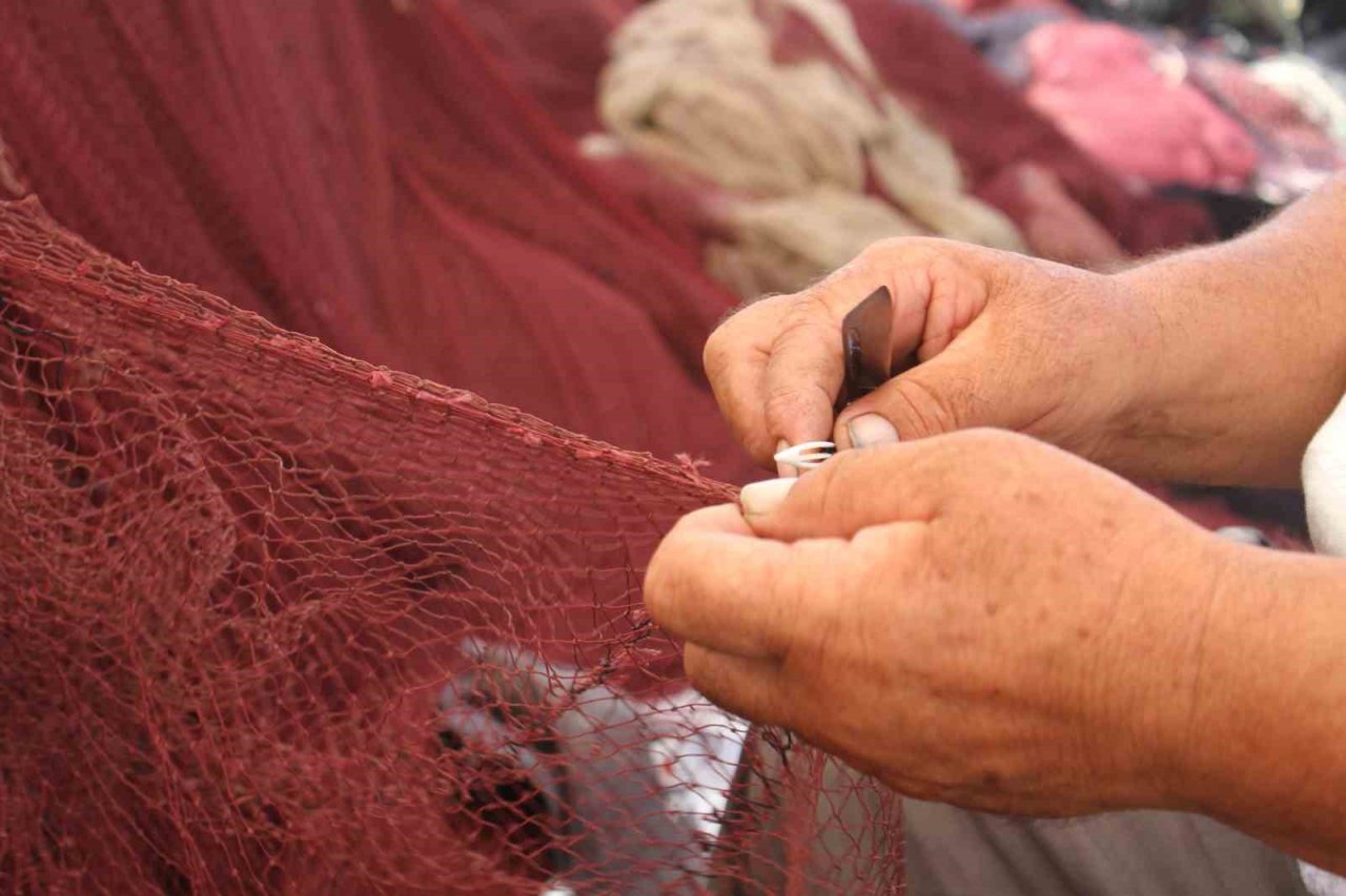 Karadenizli balıkçılar hamsiden umutlu: “Bu sezon hamsi yılı olacak”