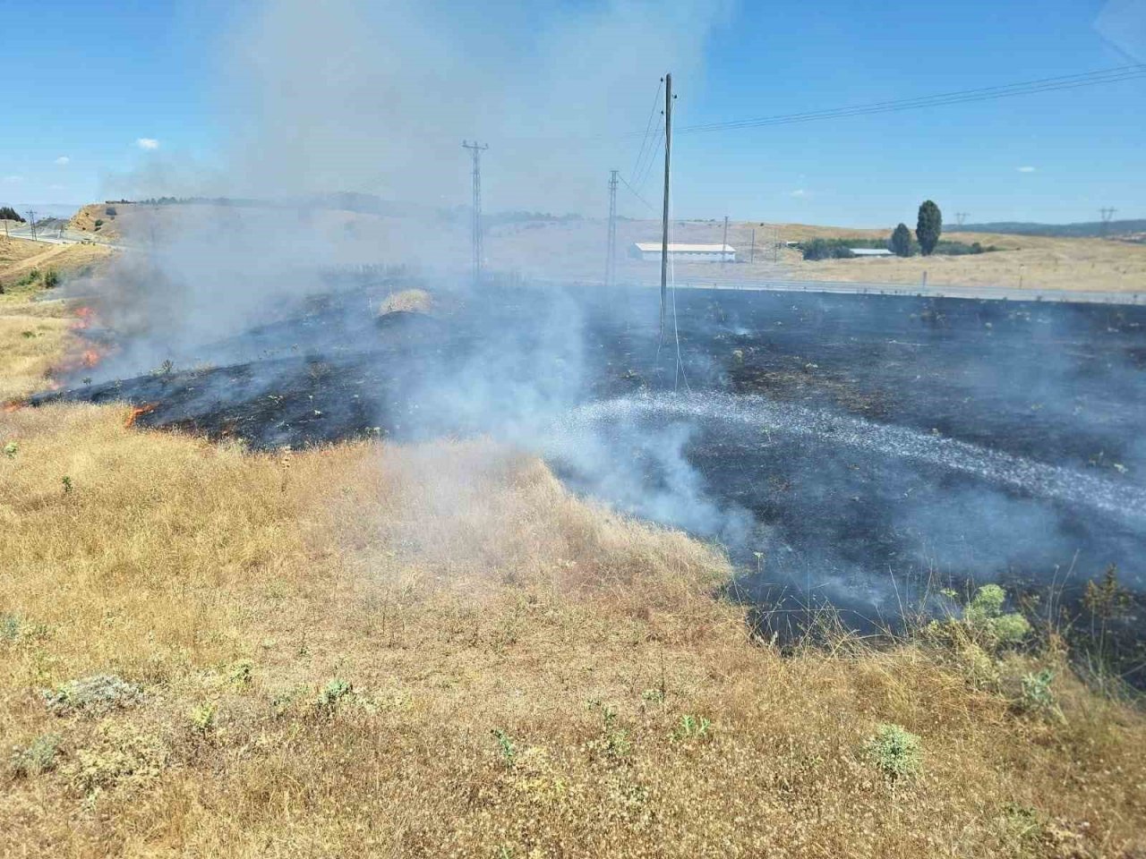 Bingöl’de anız yangını büyümeden söndürüldü