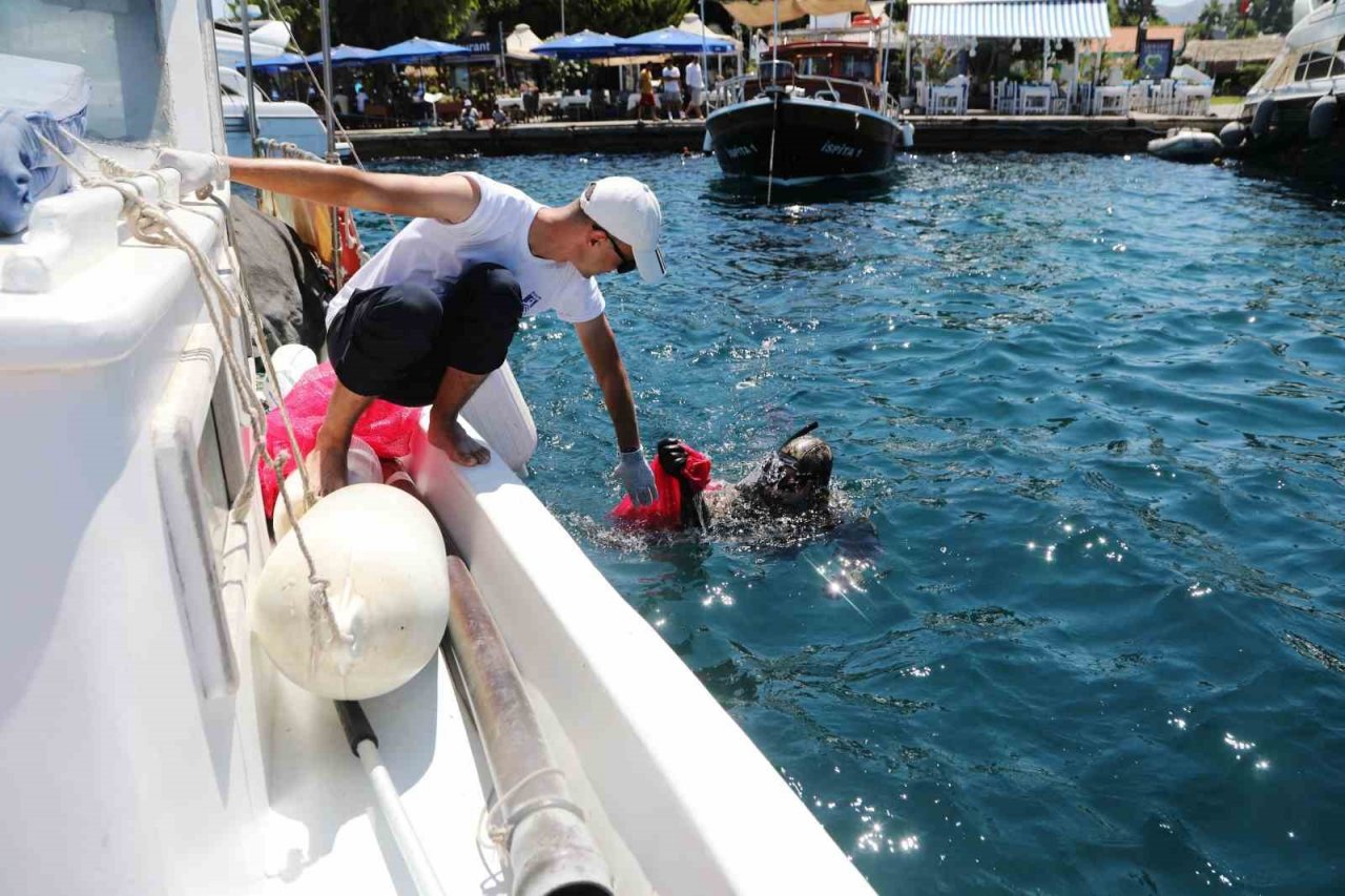 Denizin dibinden çıkanlar şok etti