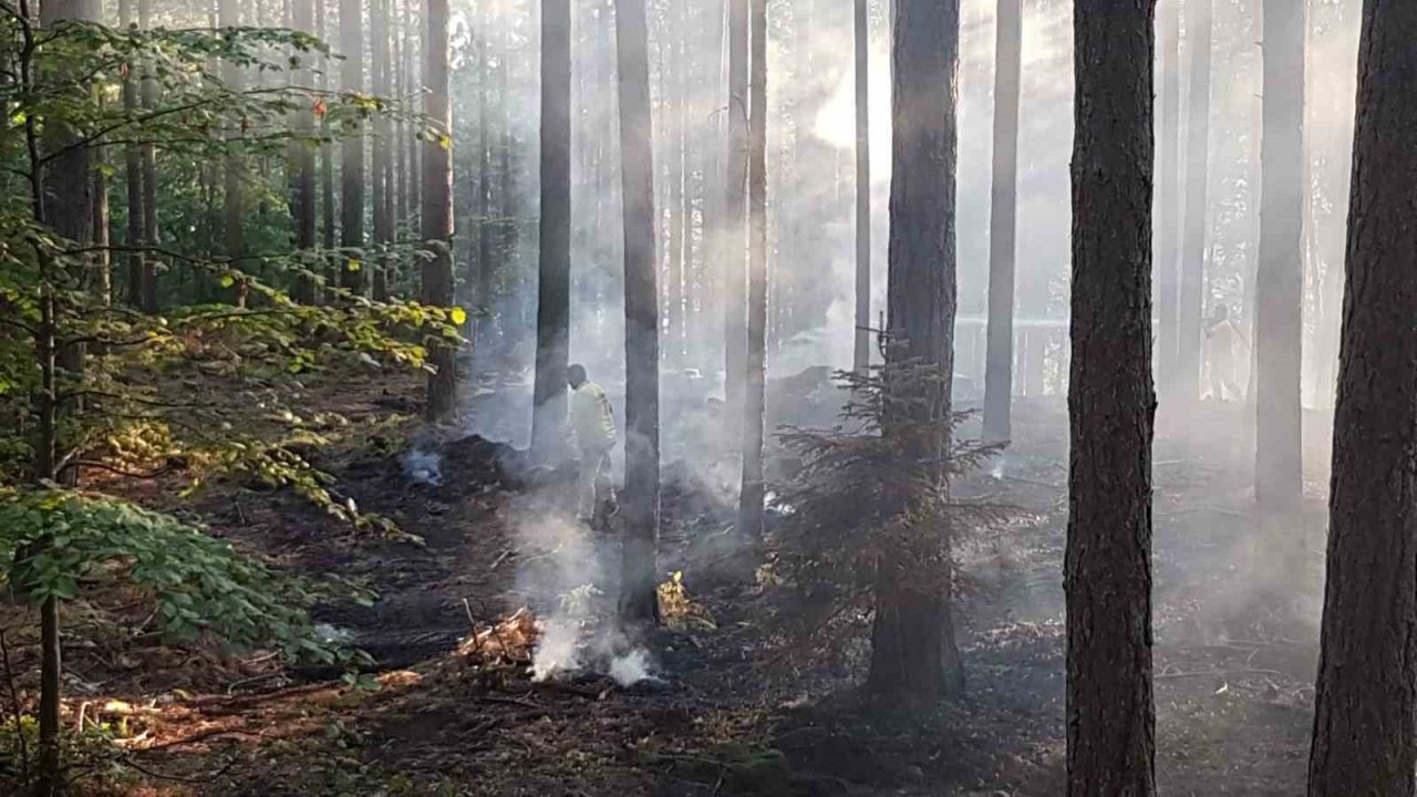 Bayramiç’te orman yangını kontrol altına alındı