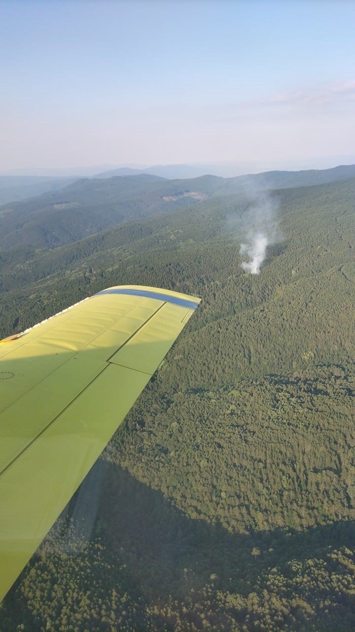 Bayramiç’te orman yangını kontrol altına alındı