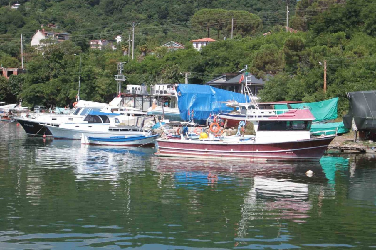 Karadenizli balıkçılar hamsiden umutlu: “Bu sezon hamsi yılı olacak”