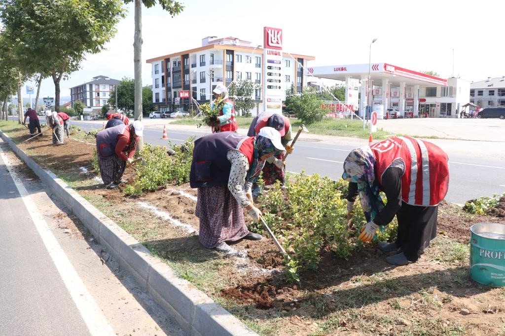 Düzce yollarında rengarenk manzara