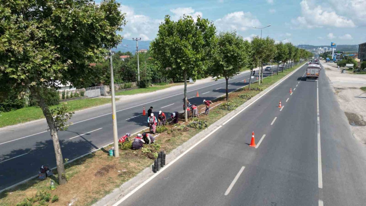 Düzce yollarında rengarenk manzara