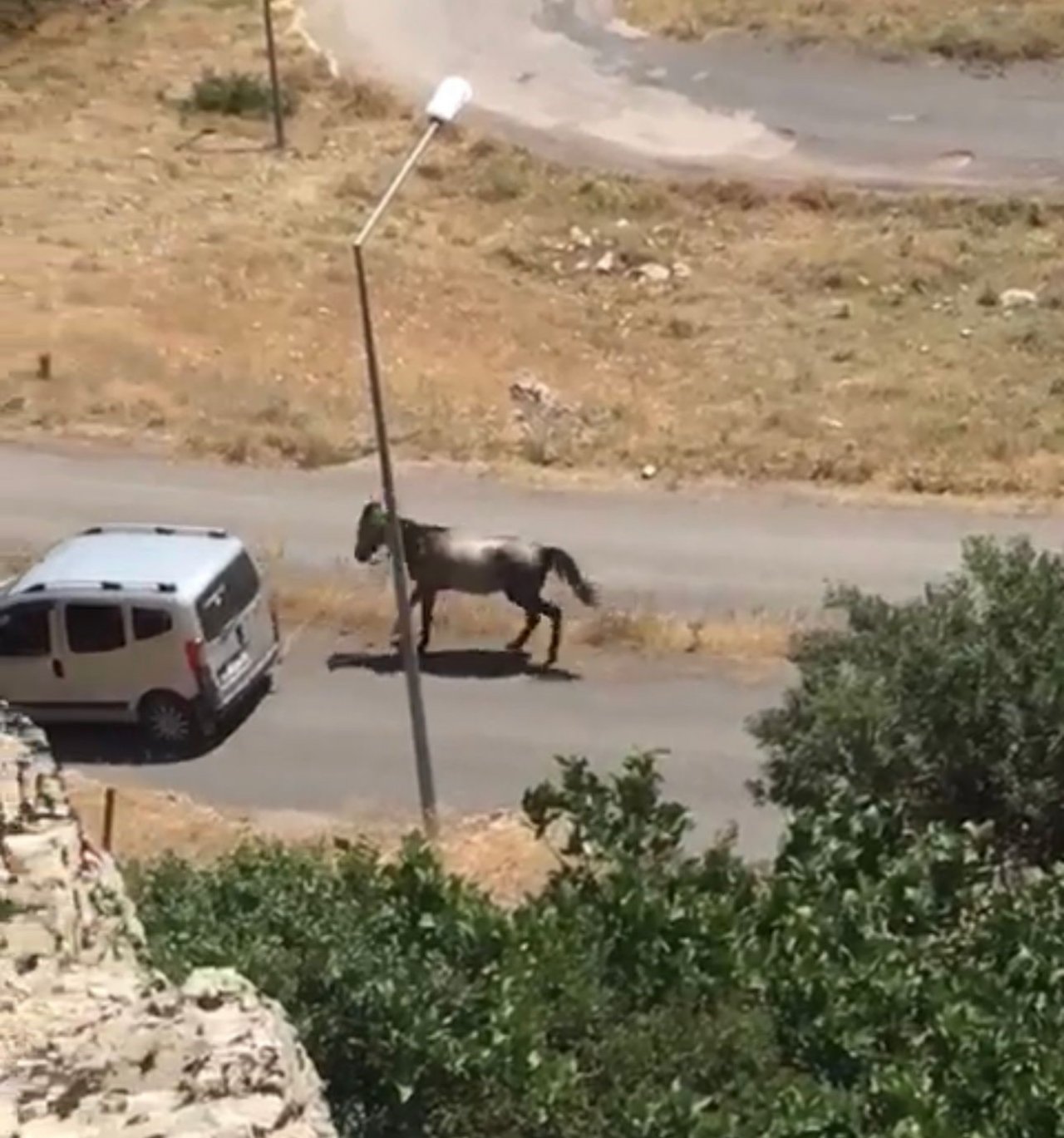 Atı aracın arkasına bağlayıp koşturan şahsa ceza
