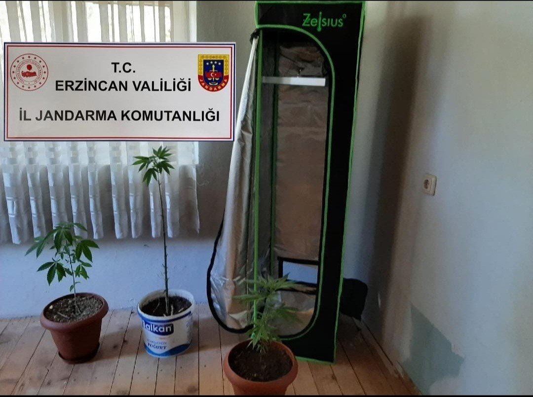 Erzincan’da jandarma ekiplerince 1 ayda 185 kaçak göçmen yakalandı