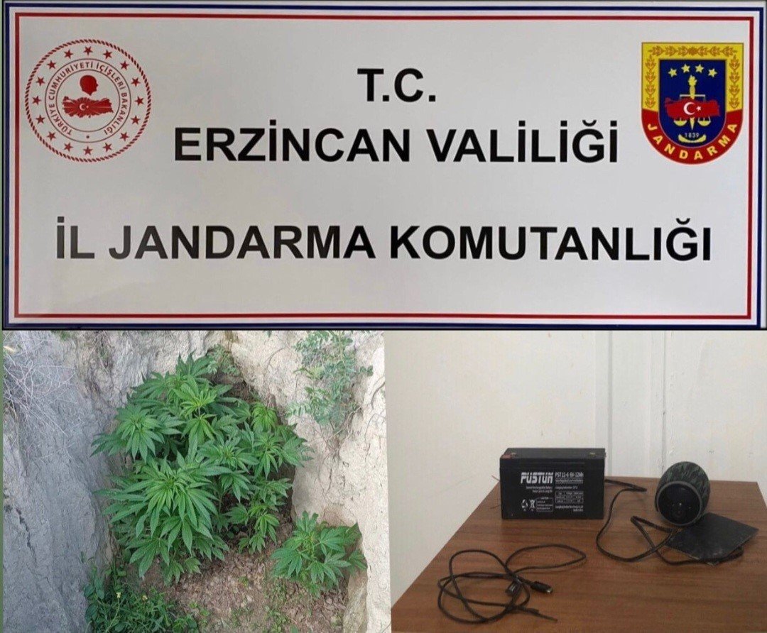Erzincan’da jandarma ekiplerince 1 ayda 185 kaçak göçmen yakalandı