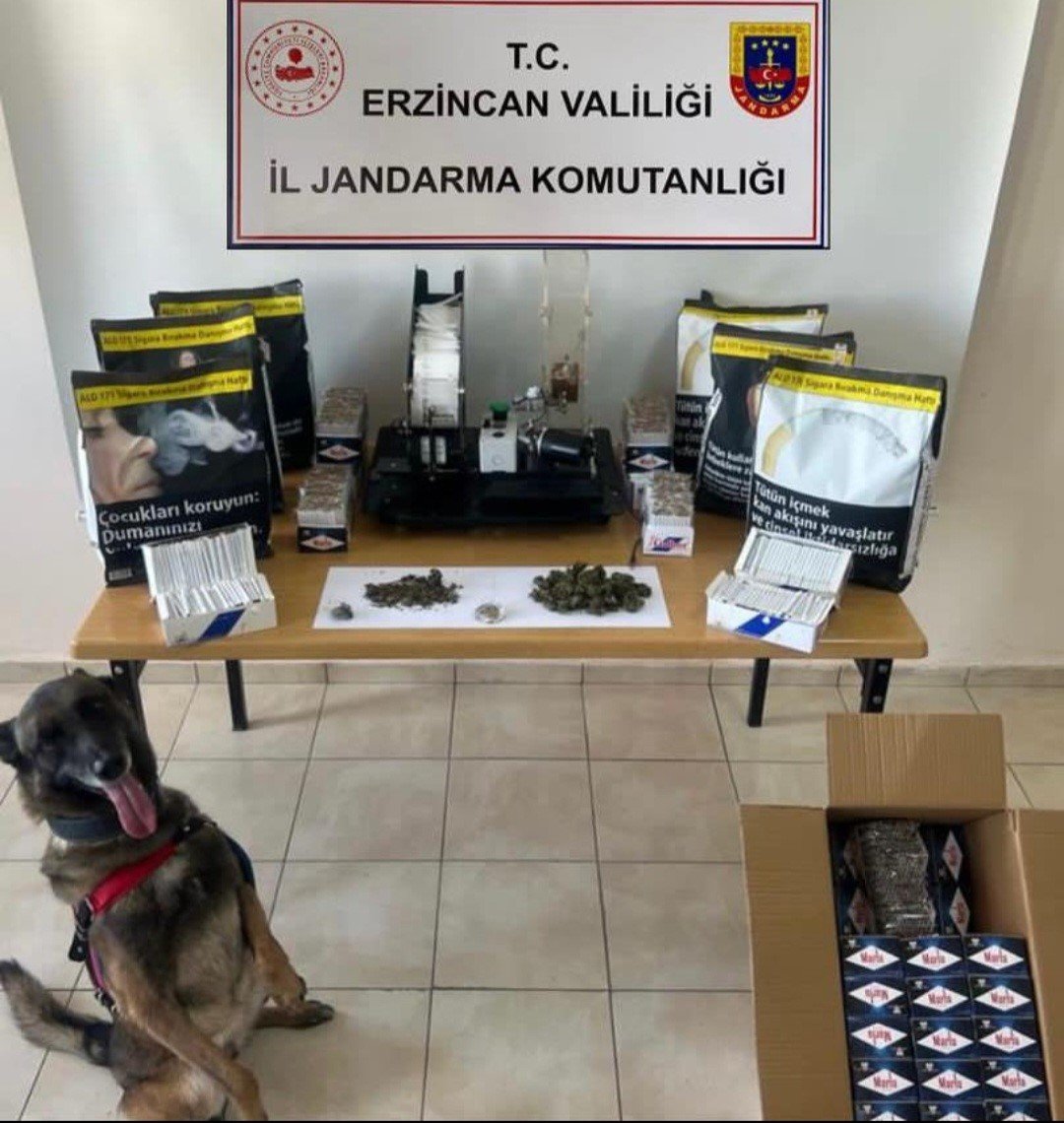 Erzincan’da jandarma ekiplerince 1 ayda 185 kaçak göçmen yakalandı