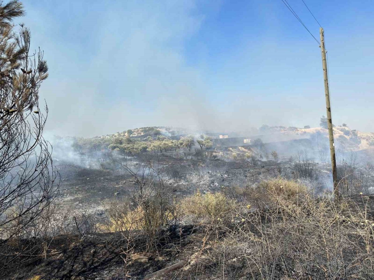 Hatay’da zeytinlik ve çalılık alanda çıkan yangın kontrol altına alındı