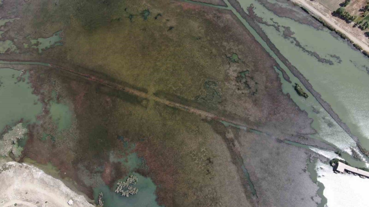 Sivas’ta ilginç doğa olayı, göl yosunla kaplandı