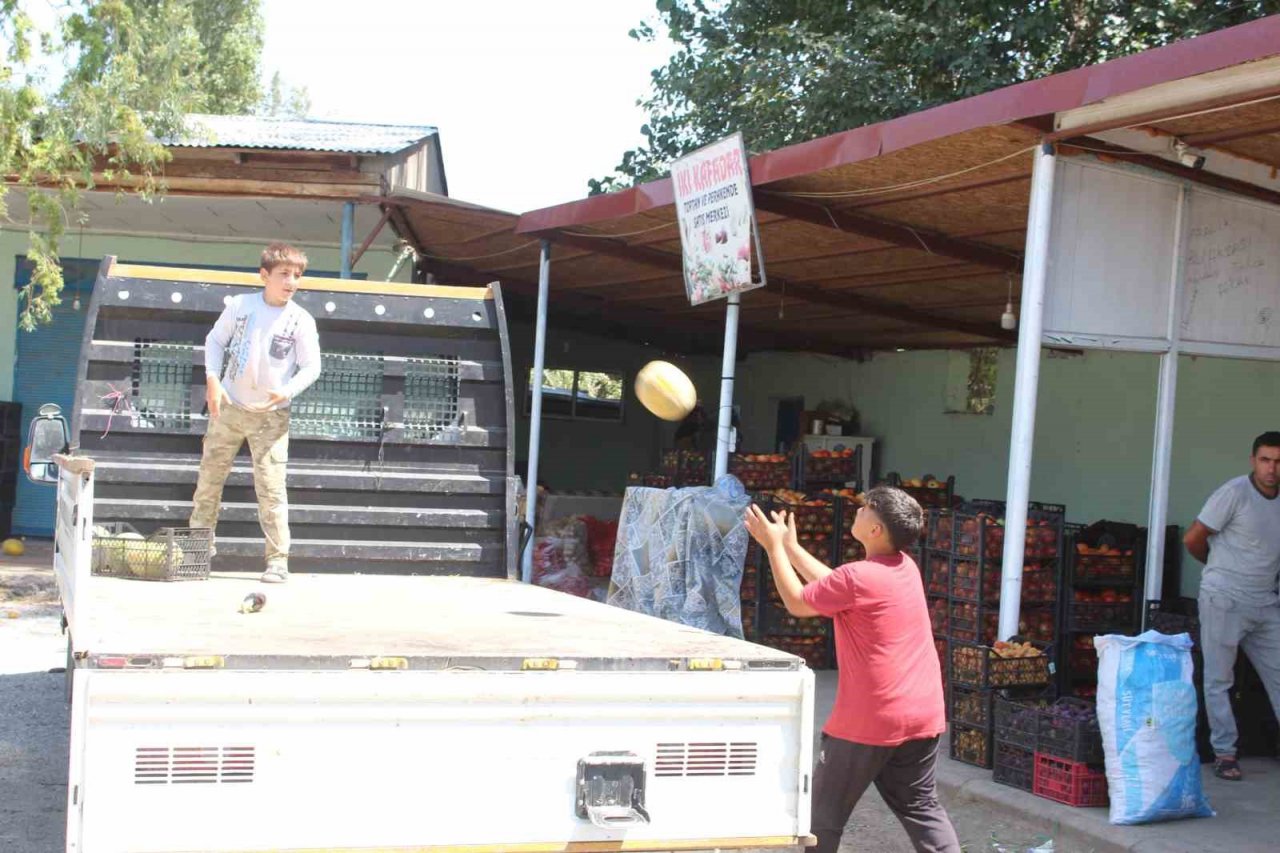 Iğdır’da yetiştirilen sebze ve meyveler il dışına satılıyor