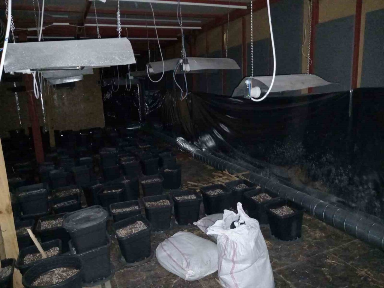 Uyuşturucu yetiştirmek için şehrin merkezindeki iş yerinde özel tesisat kurmuşlar