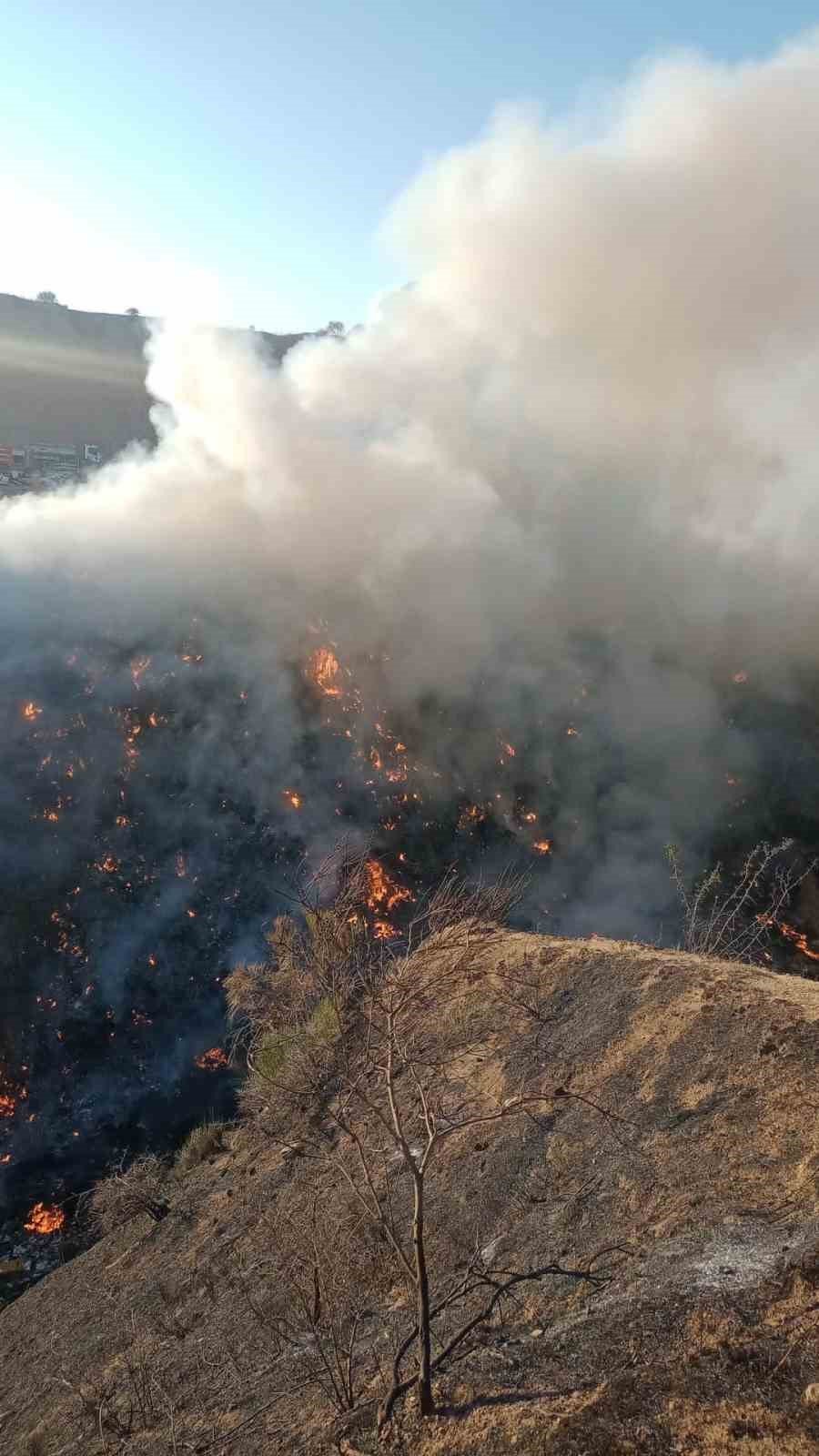 Alaşehir’de eski çöp depolama alanında yangın