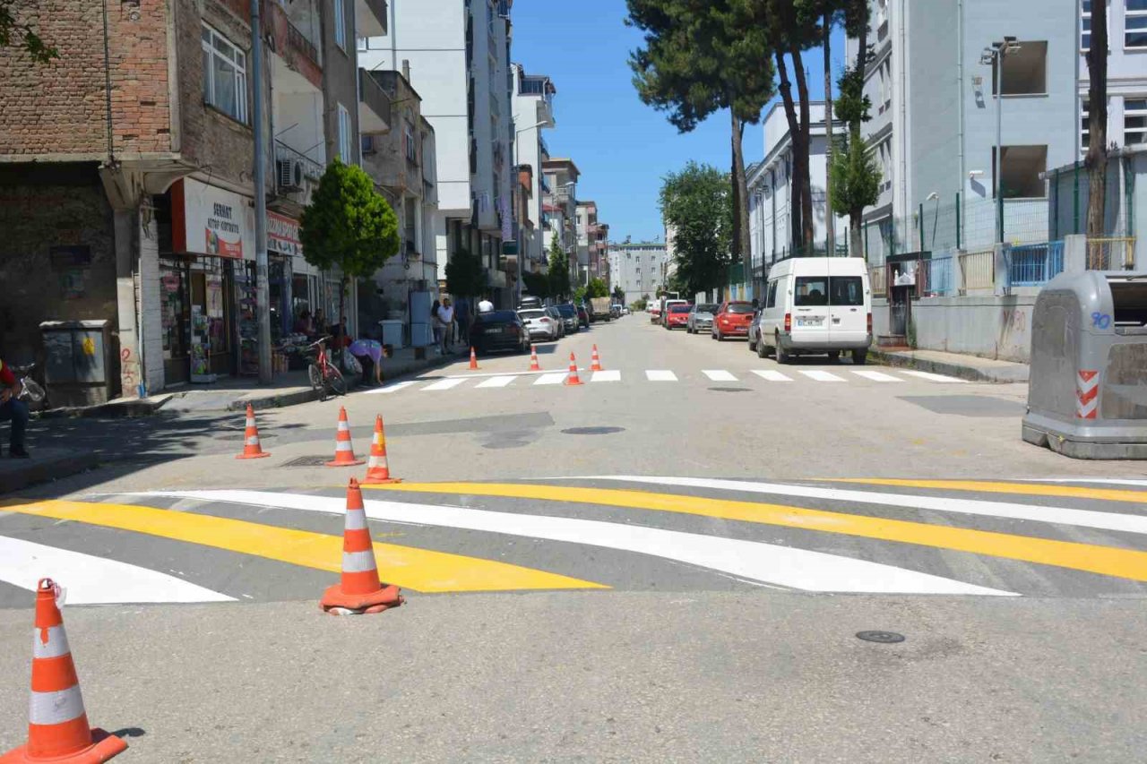 Ordu’da yaya geçitleri ve kasisler yeniden boyandı