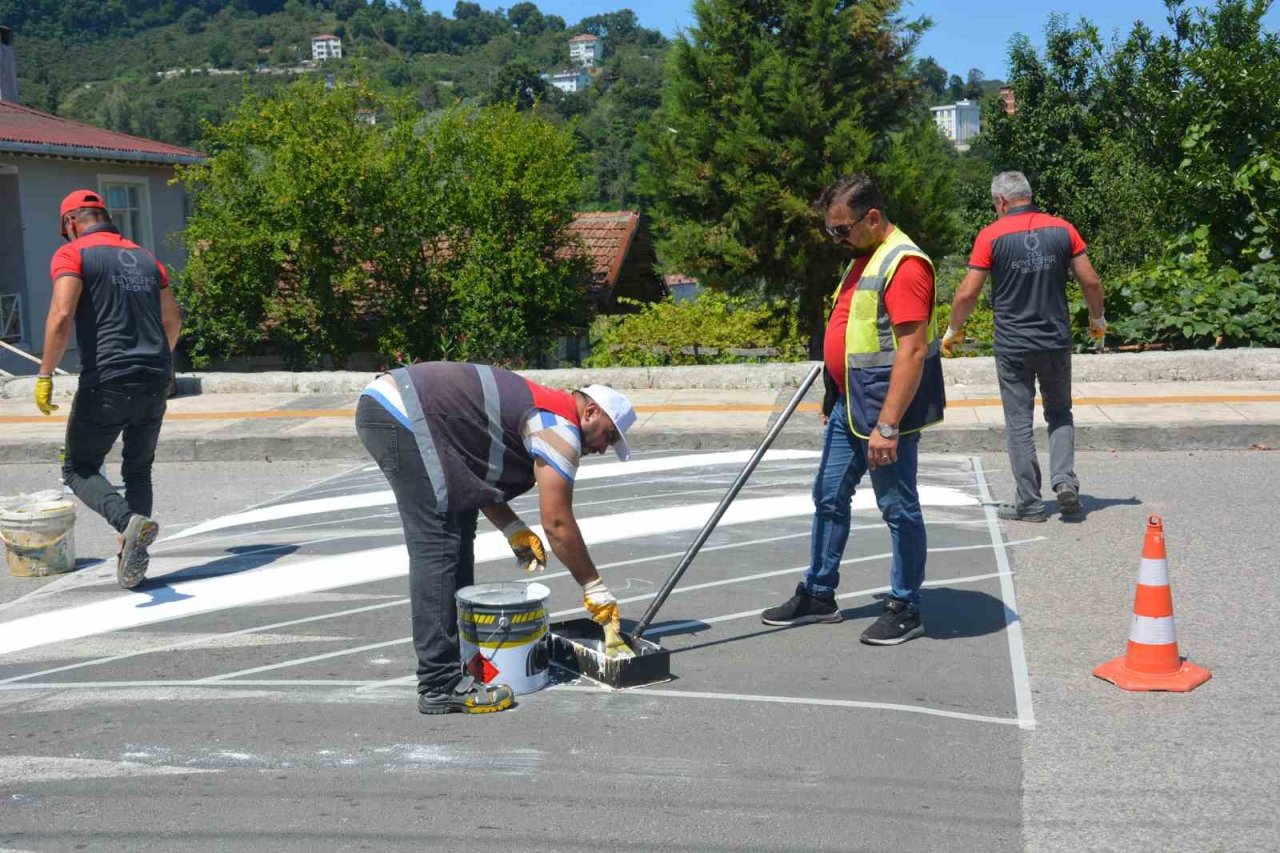 Ordu’da yaya geçitleri ve kasisler yeniden boyandı
