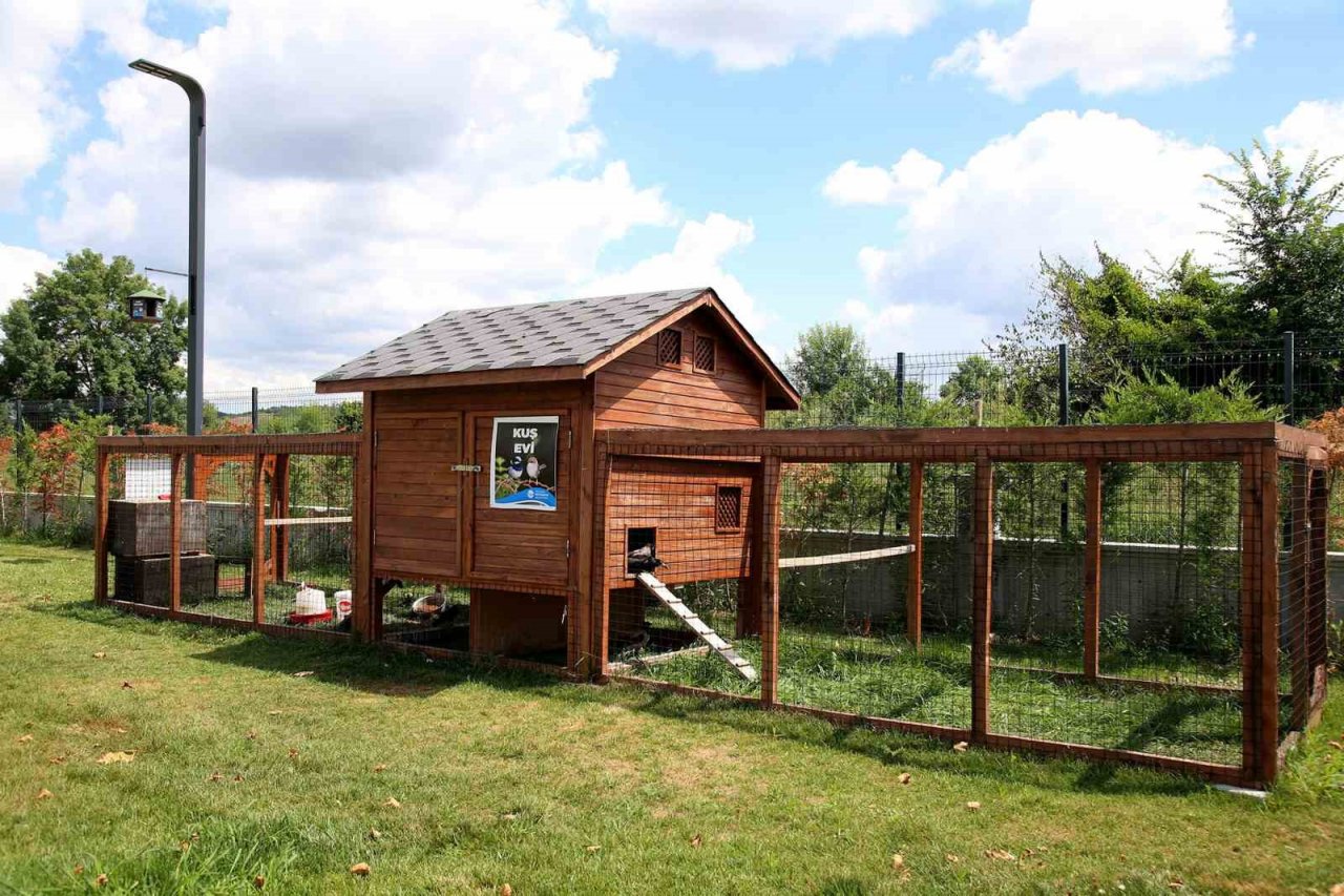 Bu merkezde her gün yüzlerce can dostu şifa buluyor