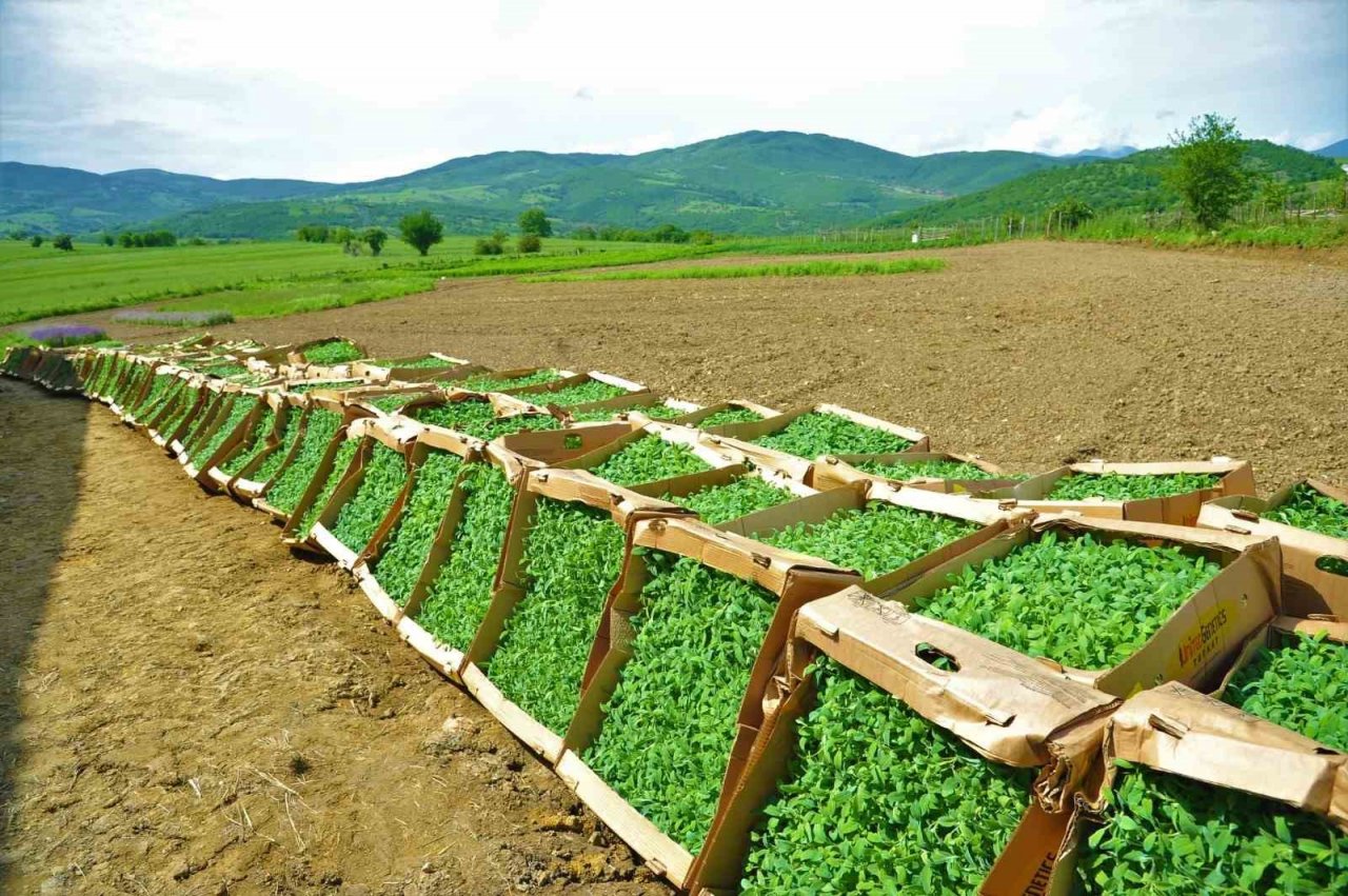 SBB’den çiftçilere 26 milyon TL’lik destek