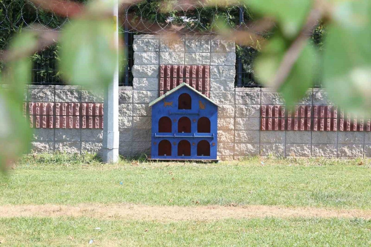 Serdivan’ın parklarını kedi ve kuş evleri süslüyor