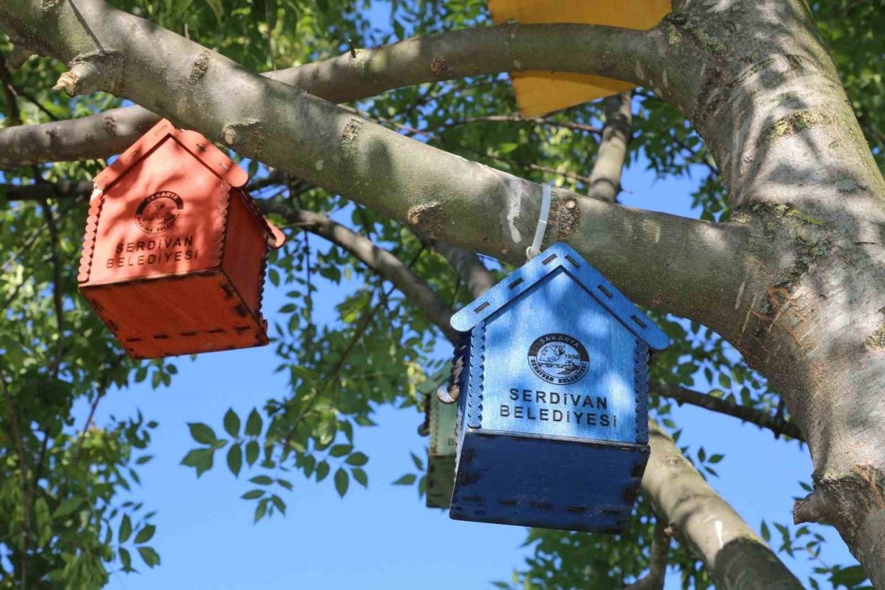 Serdivan’ın parklarını kedi ve kuş evleri süslüyor
