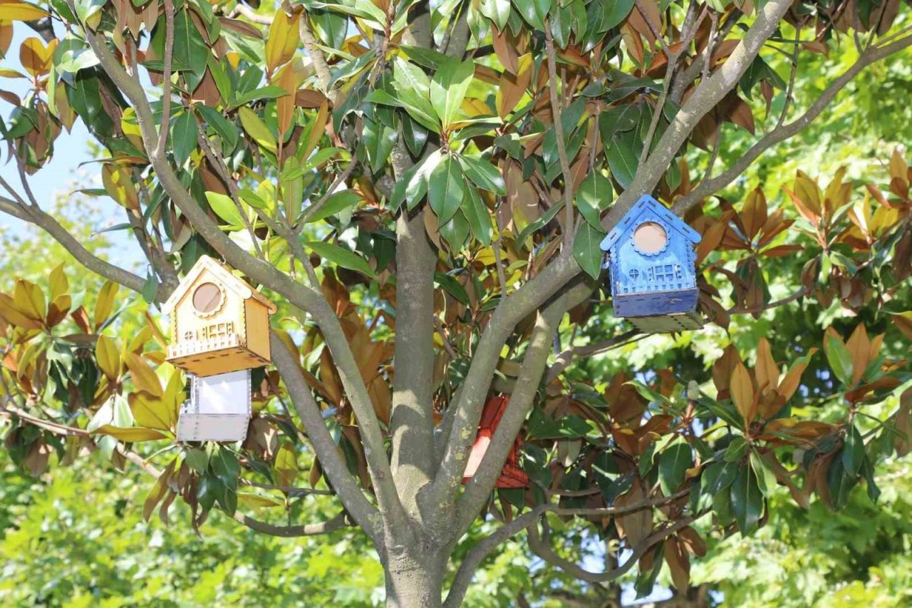 Serdivan’ın parklarını kedi ve kuş evleri süslüyor