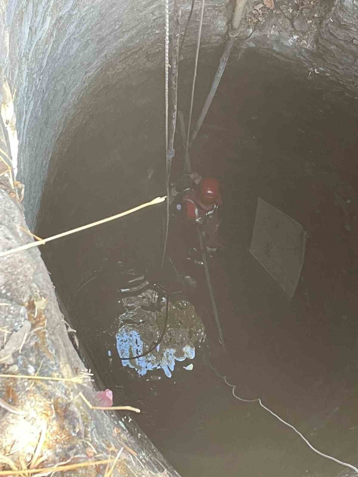 Kuyuya düşen buzağıyı kurtarmak için seferber oldular